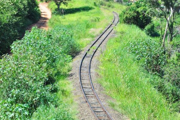 Rumo ALL e UEPP divergem sobre cenário da ferrovia na região