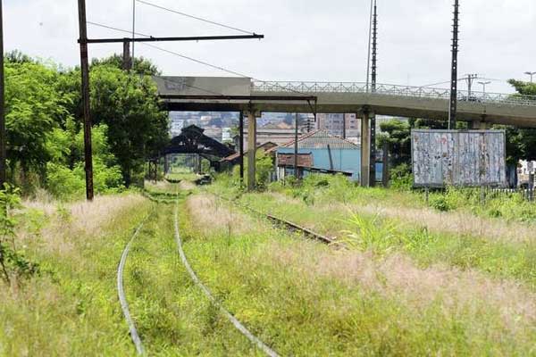 Área da linha férrea deve receber roçagem em março