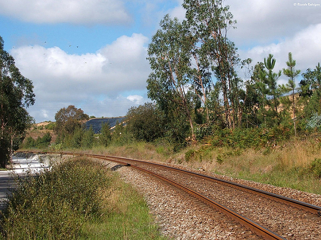 Poli-USP abraça o desafio de melhorar a infraestrutura ferroviária brasileira